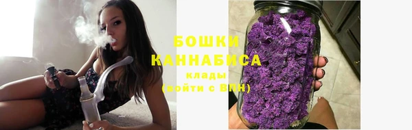 молекула духа Белоозёрский