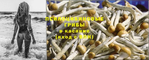 амф Белокуриха
