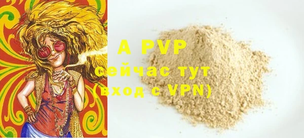 амф Белокуриха
