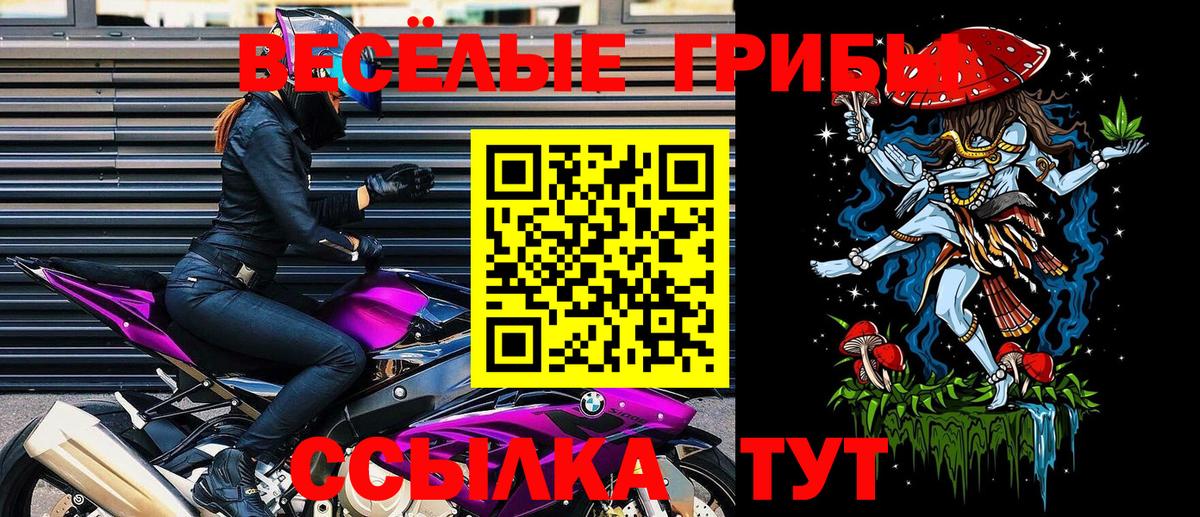 Великий Устюг  Галлюциногенные грибы Cubensis  купить  цена  Вход с VPN 